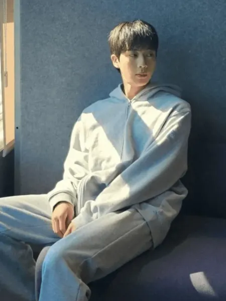 BTS Jin Rocks the Casual Look in Grey