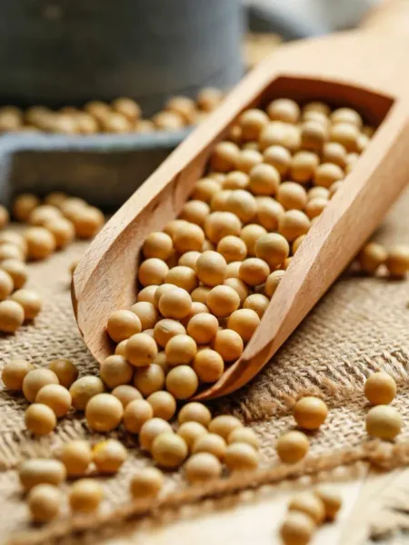 7 Health Benefits of Eating Soybeans