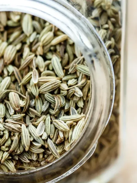 7 Health Benefits of Adding Fennel Seeds (Saunf) to Your Diet