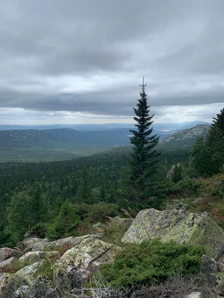 The Scrpathians, A giant sanctuary under threat