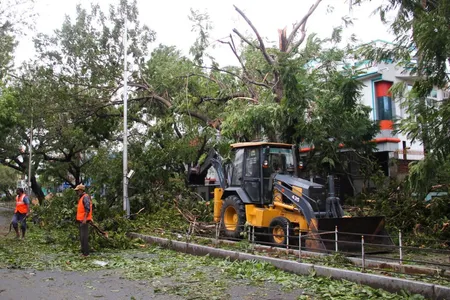 Cloudburst, wind uproots 1 lakh trees in Telangana forests