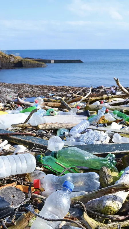 How much plastic waste does India produce? A shocking 9.3M tonnes