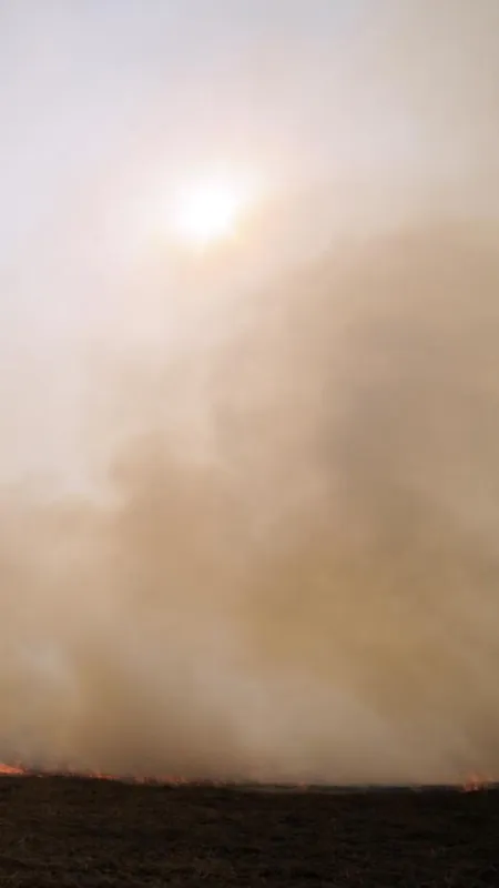 How air pollution threaten India's crops?