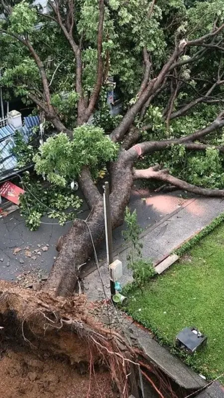 Super typhoon yagi devastates China's Hainan with heavy losses