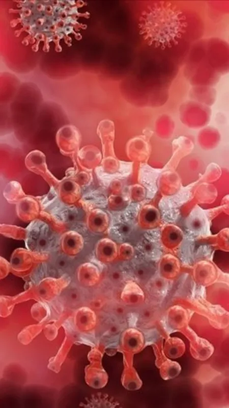 Suspected Monkeypox Case in India