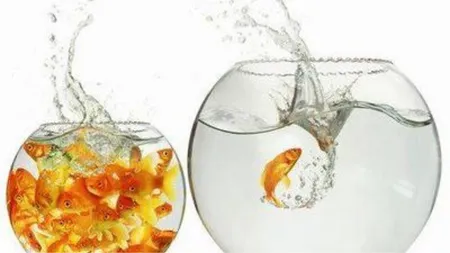 Comfort Zone (Pinterest).png