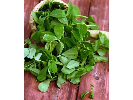 Fenugreek.png