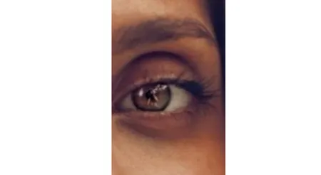 Dark Circle ( Dark Street Harley)