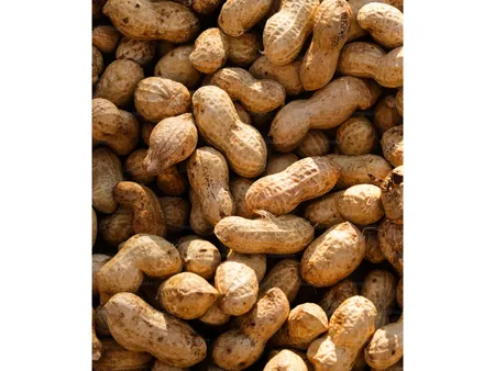 Beneficial Of Peanut  