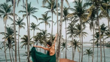 Tropical (Pinterest).png