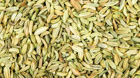 Fennel For Skin(Freepik)