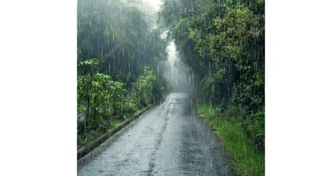 Rainy season (Freepik).png