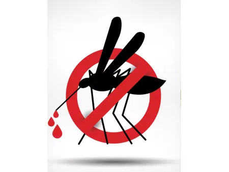 Foods to take during dengue 