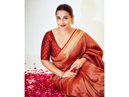 Vidya Balan Said About Pregnancy