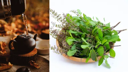 Basil Tea(Unsplash,Freepik).