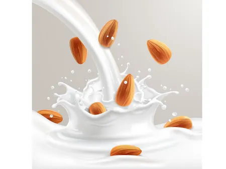 am(Vector Stock).png 