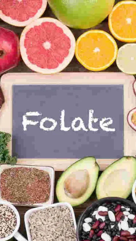 Folate (Digit insurance)