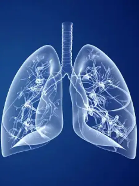 lung health, rising pollution in india, health tips how to improve lung health