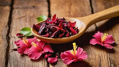 hibiscus, hair fall