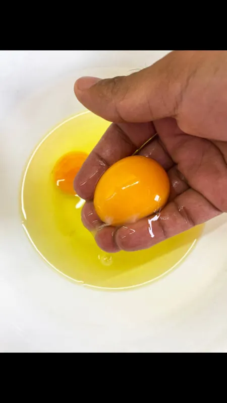 egg