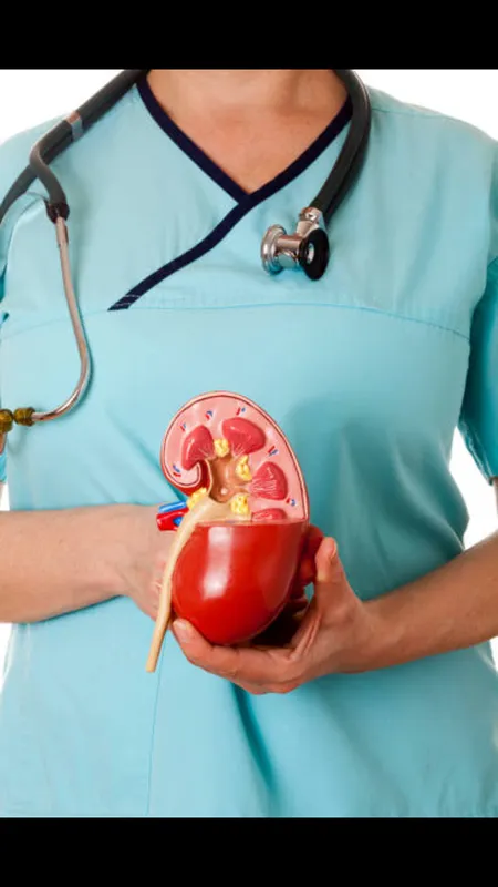 kidney