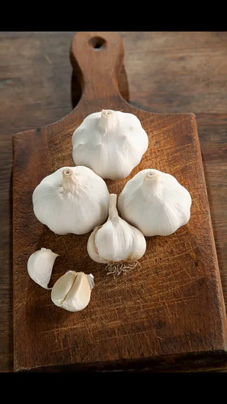 garlic