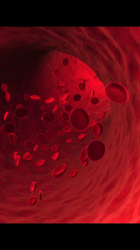 blood