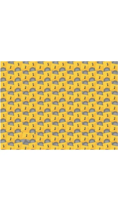 optical illusion