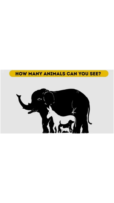 optical illusion