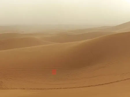 sandstorm