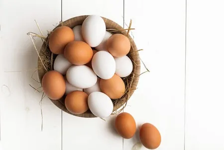 egg