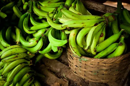 plantain