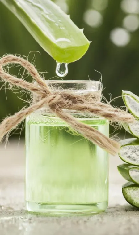 Best-Uses-of-Aloe-Vera-for-Skin-Hair