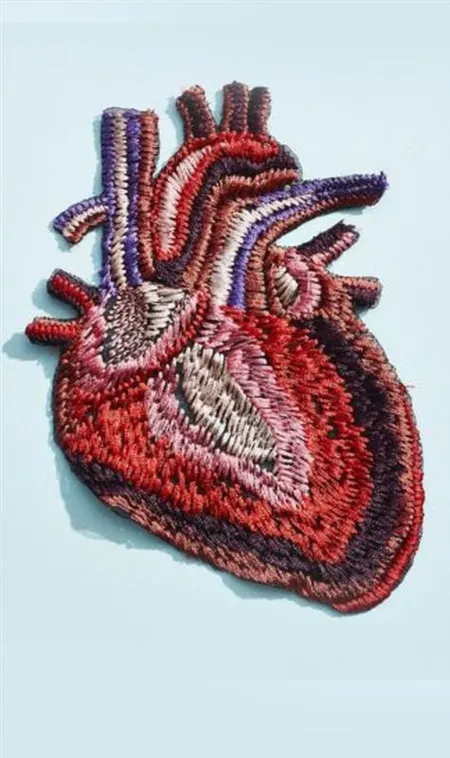 The-Largest-&-Smallest-Hearts-in-the-Animal-Kingdom