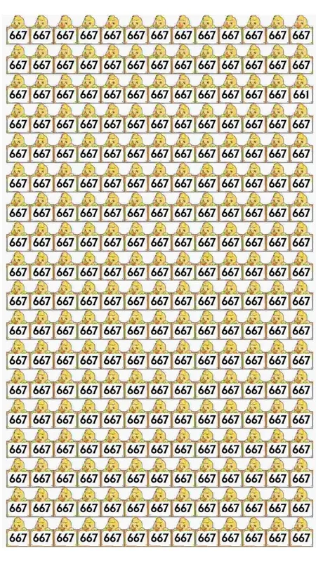 Only Sharp Eyes Can See the Hidden 661