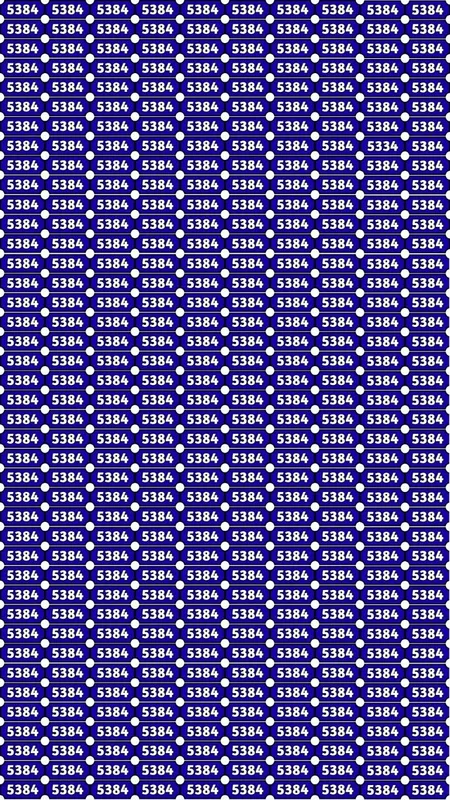 Find the Hidden Number 5334 in Just 8 Seconds