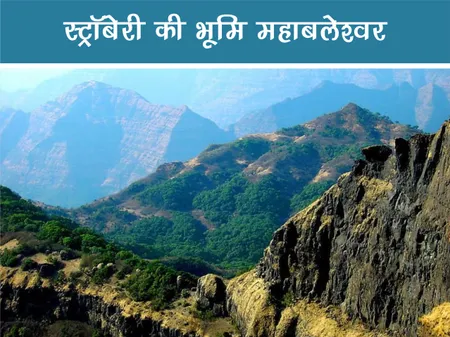 ट्रैवल: स्ट्रॉबेरी की भूमि महाबलेश्वर