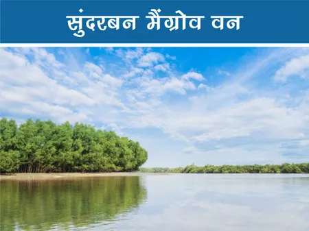 Short: Travel: सुंदरबन मैंग्रोव वन