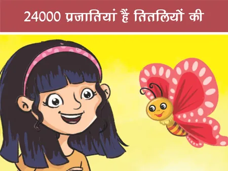 Short: Fun Facts: 24000 प्रजातियां हैं तितलियों की