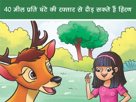 Short: Fun Facts: 40 मील प्रति घंटे की रफ्तार से दौड़ सकते हैं हिरण