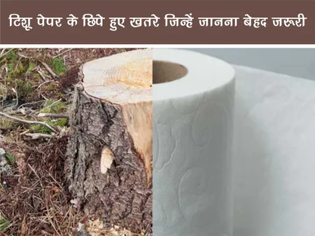 टिशू पेपर के छिपे हुए खतरे जिन्हें जानना बेहद ज़रूरी