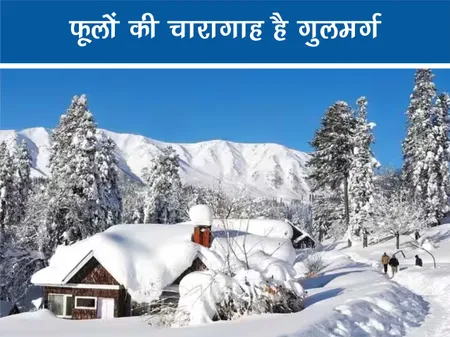 Short: Travel: फूलों की चारागाह है गुलमर्ग