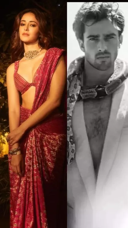 अनन्या ने बॉयफ्रेंड संग 'लॉन्ग-डिस्टेंस रिलेशनशिप' पर दिया ये रिएक्शन