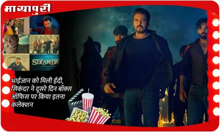 Sikandar Box Office Collection Day 2: भाईजान को मिली ईदी, सिकंदर ने दूसरे दिन बॉक्स ऑफिस पर किया इतना कलेक्शन