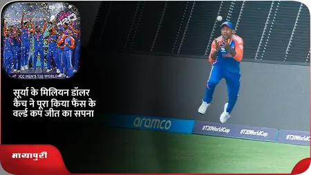 Short: सूर्या के मिलियन डॉलर कैच ने पूरा किया फैंस के वर्ल्ड कप जीत का सपना
