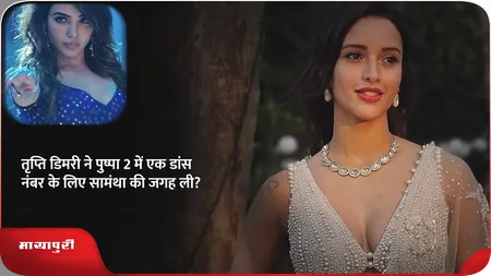 Short: तृप्ति डिमरी ने पुष्पा 2 में एक डांस नंबर के लिए सामंथा की जगह ली?