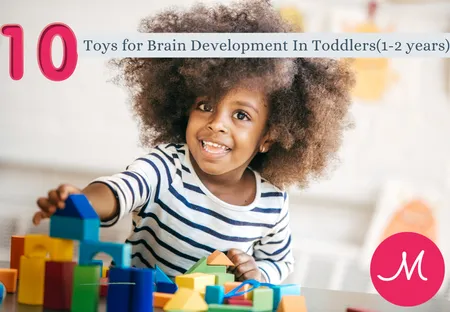 Toys for Brain Development In Toddlers(1-2 years)