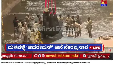 elephant rescue operation03