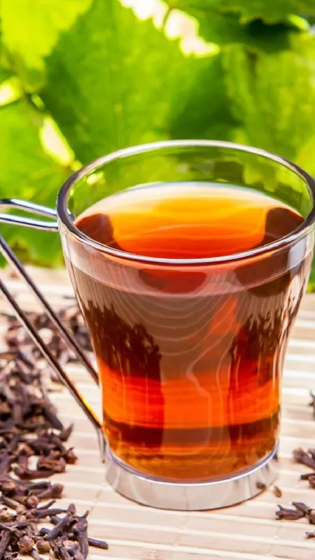 WhatsApp Image 2024-11-19 at 4.56.27 PM (1)