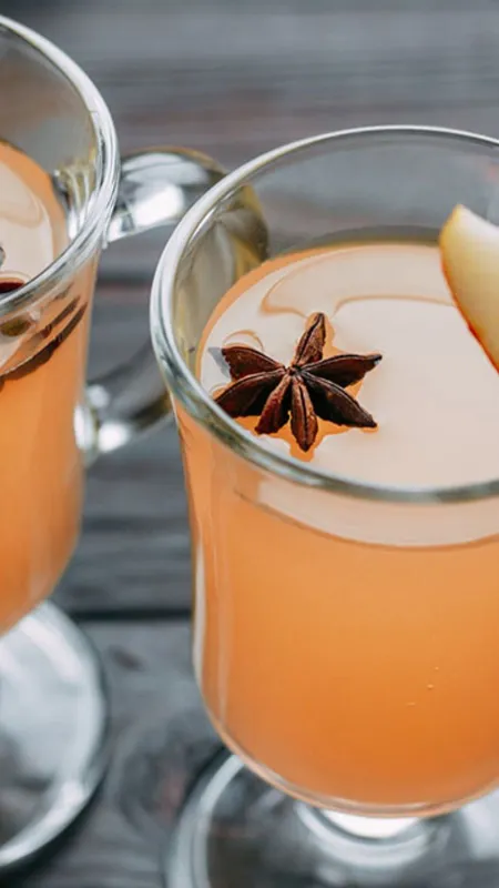 fennel ginger water6